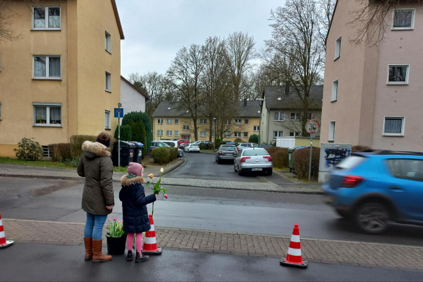 Schulstraße Witte-Wie: Tulpen zur Eröffnung der Schulstraße